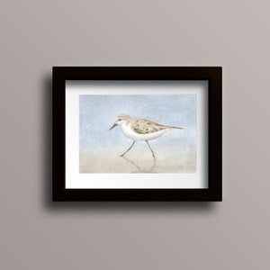 Impresión Sandpiper - Impresión de acuarela Sandpiper - Impresión de aves - Arte de aves - Decoración del océano - Arte de los bancos exteriores - Arte de aves acuarela - Decoración de aves