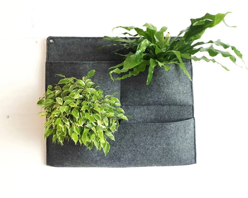 Wall Planter Indoor Housewarming Gift Living Gardening Herb Decor Free Dark Gray Plain