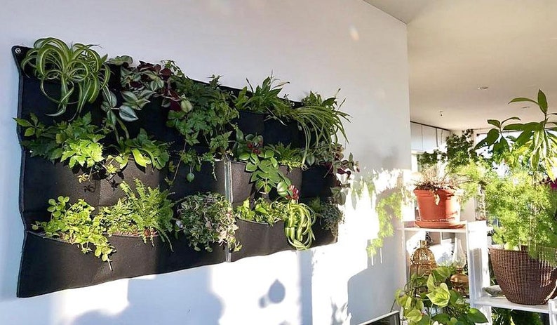 Wall Planter Indoor Vertical Garden Plants Gift Living Green Gardening Home Black - Vertical Garden Wall Planter Wall Planter Indoor Vertical Garden Plants Gift Living Green Gardening Home Black - Vertical Garden Wall Planter