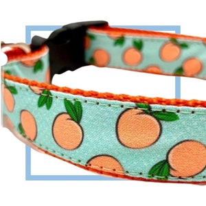 May include: A turquoise blue dog collar with a bright orange trim and a repeating pattern of peach slices.