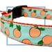 see more listings in the FOOD Collars & Harnesses section