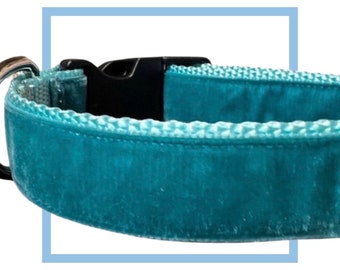 Turquoise Velvet Dog Collar, Leash or Harness with Personalized Buckle Option