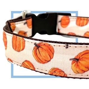 May include: A dog collar featuring a repeating pattern of orange pumpkins on a cream-colored background. The collar has a black plastic buckle and a brown trim. The design is perfect for the fall season.
