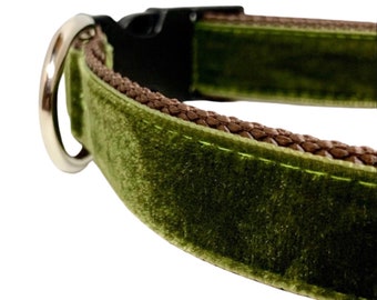 Moss Green Velvet Dog Collar, Leash or Harness with Personalized Buckle Option