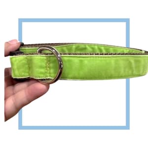 Limesicle Green Velvet Dog Collar, Leash or Harness with Personalized Buckle Option