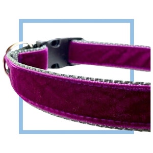 May include: A purple velvet dog collar with a silver buckle and a gray trim.