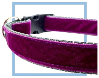 Plum Purple Velvet Dog Collar, Leash or Harness with Personalized Buckle Option