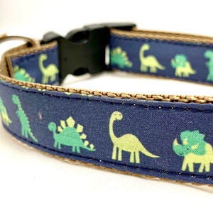 Dinosaur Parade Dog Collar, Harness or Leash with Personalized Engraved Buckle Option