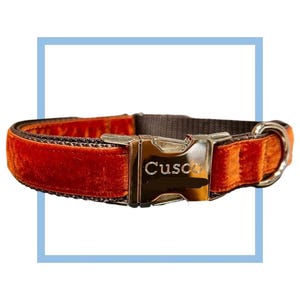 Rust Velvet Dog Collar, Leash or Harness with Personalized Buckle Option