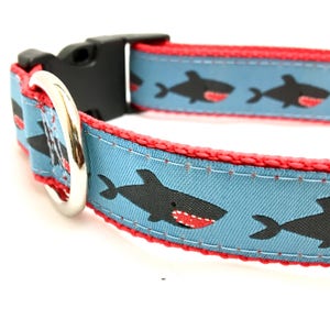 Shark Dog Collar, Harness or Leash with Personalized Engrave Buckle Option image 3