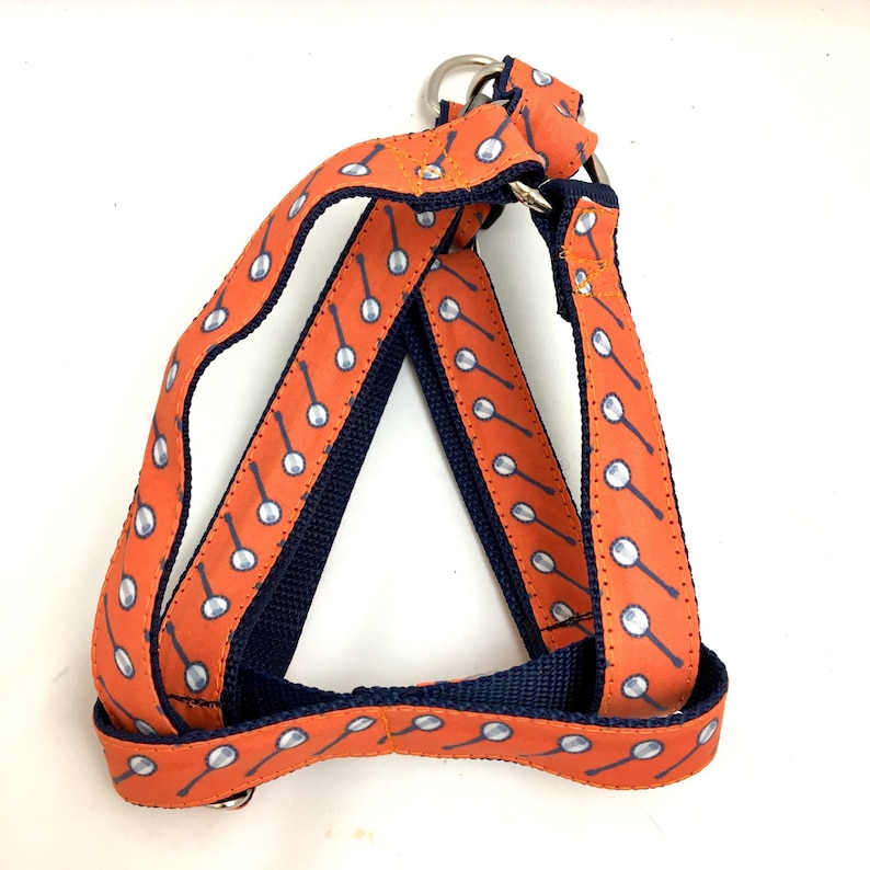 Banjo Dog Collar Harness or Leash With Personalized Engraved Etsy