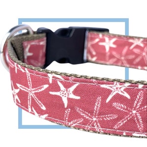 Coral Starfish Beach Dog Collar, Harness or Leash with Personalized Engraved Buckle Option