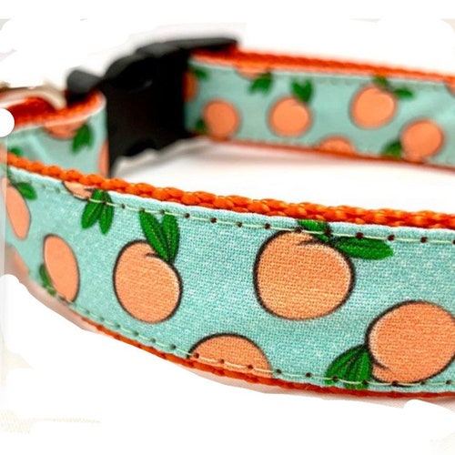 Pineapple Dog Collar Leash or Harness With Personalized Metal Etsy
