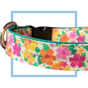Hibiscus Floral Dog Collar, Harness or Leash with Personalized Metal Buckle Option