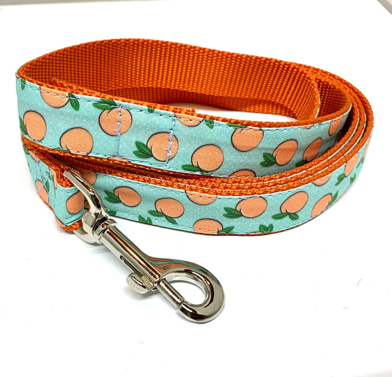 Peaches Dog Collar Harness or Leash With Personalized Metal Etsy