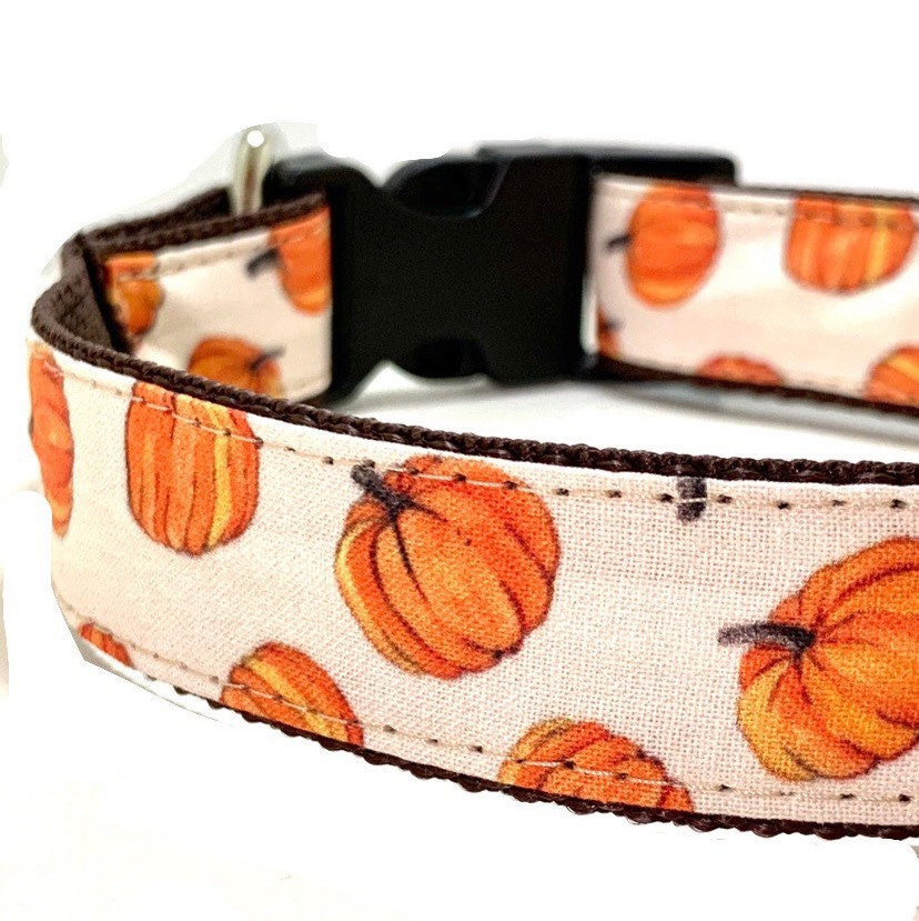 pumpkin dog collar