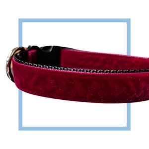 Wine Red Velvet Dog Collar, Leash or Harness with Personalized Buckle Option