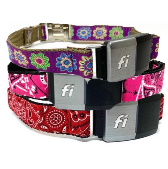 dog collar buckles for sale