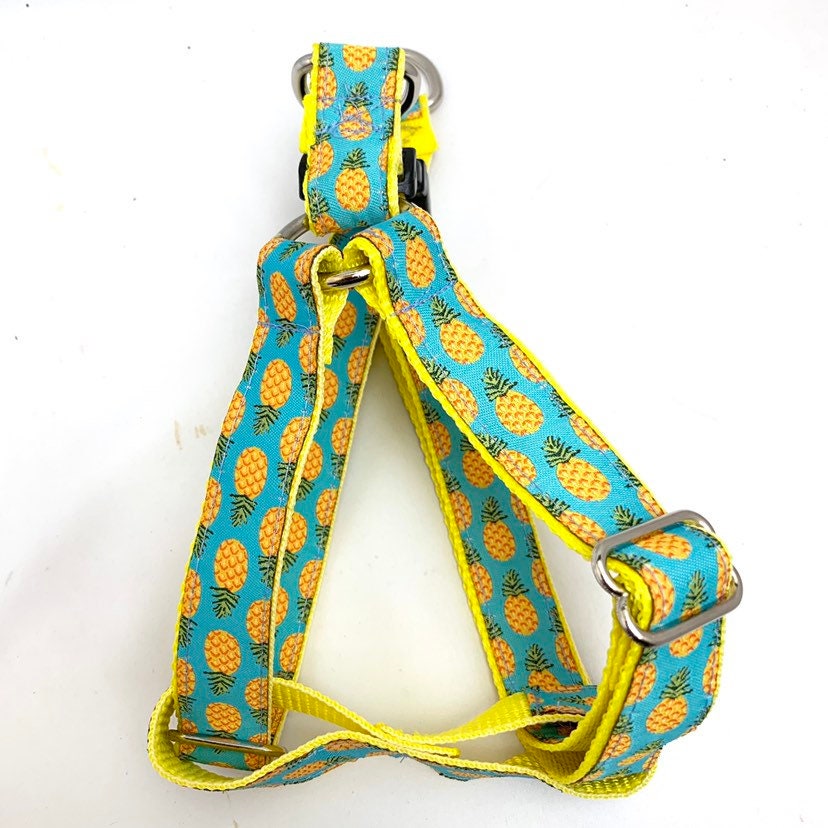 Pineapple Dog Collar Leash or Harness with Personalized Metal Etsy