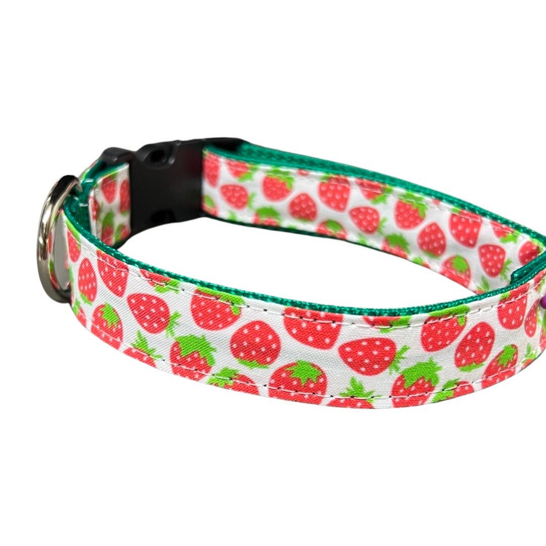 Strawberry Dog Collar Harness or Matching Leash With - Etsy