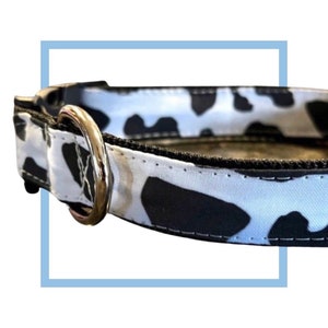 Holy Cow Pattern Dog Collar, Harness or Leash with Personalized Engraved Buckle Option