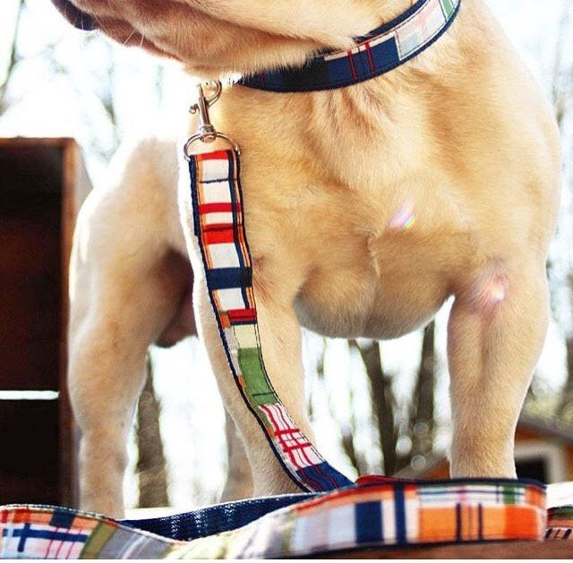 Coastal Plaid Dog Collar Harness or Leash With Personalized Etsy
