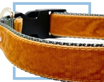 Mustard Velvet Dog Collar, Leash or Harness with Personalized Buckle Option
