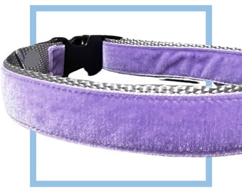 Lilac Purple Velvet Dog Collar, Leash or Harness with Personalized Buckle Option