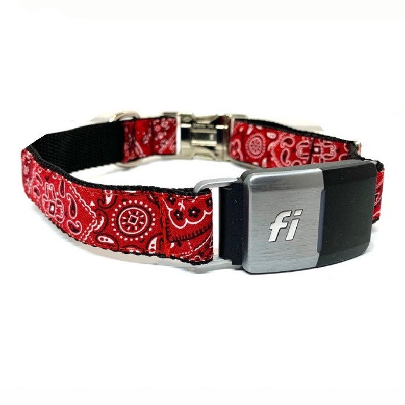 Fi Compatible Dog Collar With Personalized Engraved Buckle Etsy