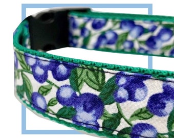 Blueberry Dog Collar, Harness or Leash with Personalized Metal Buckle Upgrade