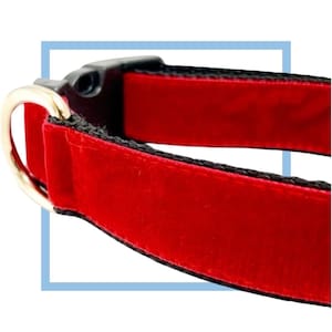 Red Velvet Dog Collar, Leash or Harness with Personalized Buckle Option
