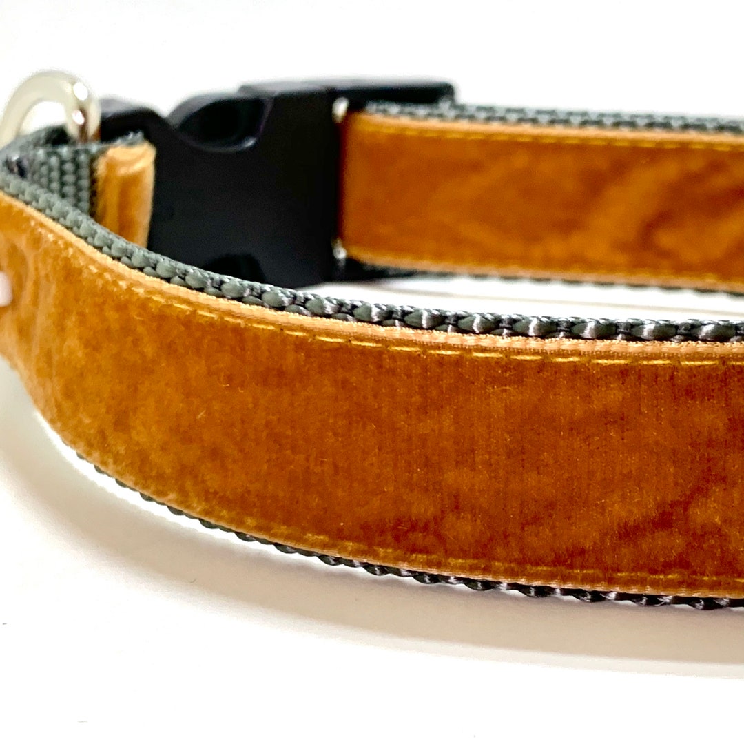 Mustard Velvet Dog Collar Leash or Harness With Personalized Etsy
