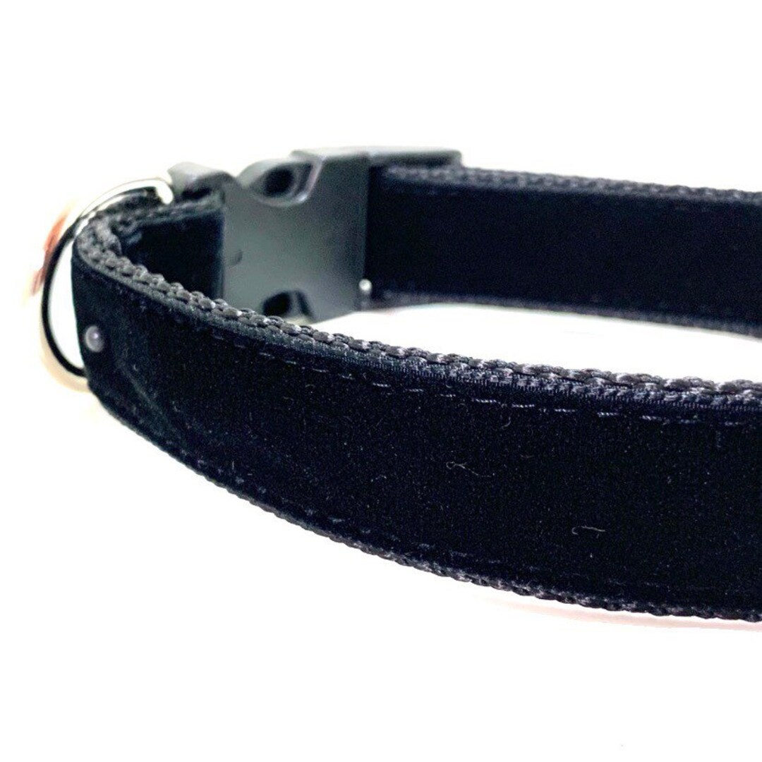 Black Velvet Dog Collar, Leash or Harness With Personalized, Engraved Metal Buckle Upgrade