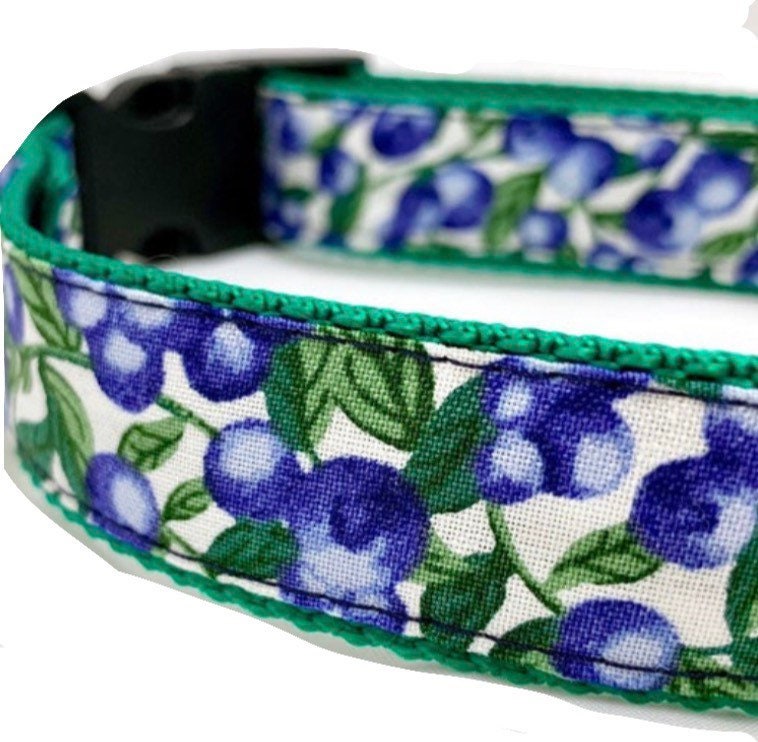 blueberry dog collar