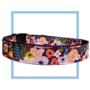 May include: A purple dog collar with a floral pattern featuring pink, red, yellow, and blue flowers. The collar has a black buckle.