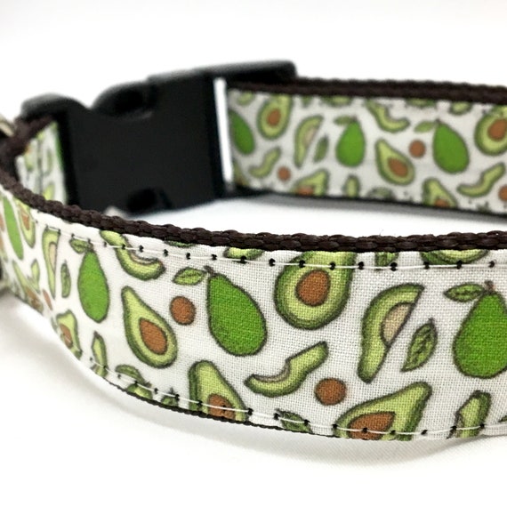 avocado dog collar