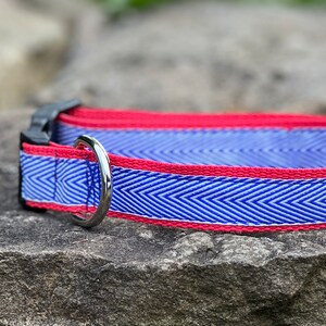 Red White & Blue Chevron Dog Collar, Harness or Leash with Personalized Metal Buckle Option image 5