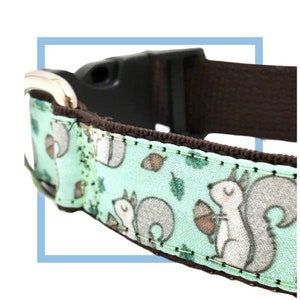 Squirrel Dog Collar, Harness or Leash with Personalized Engraved Buckle Option