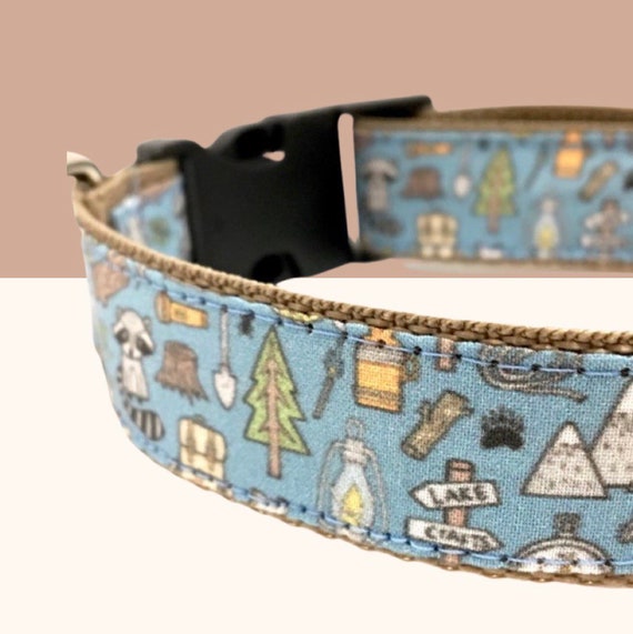 Buckle-Down Dog Collar Plastic Clip Dinosaurs Black Multi Color Available in Adjustable Sizes for Small Medium Large Dogs 