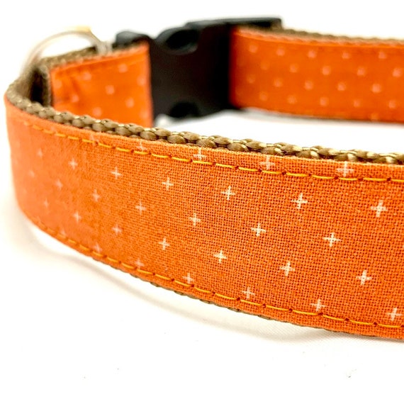 orange dog leash
