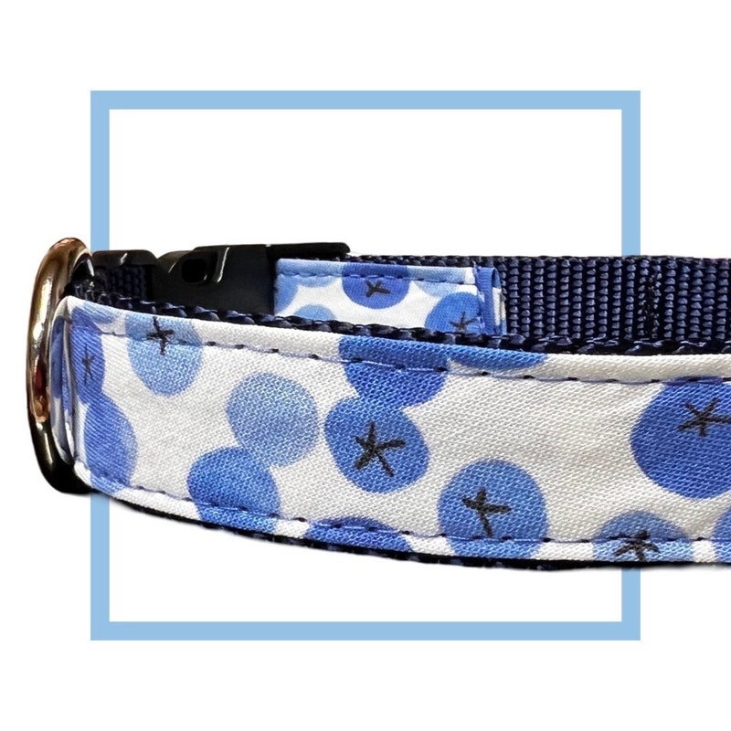 Blueberry Dog Accessories - Etsy