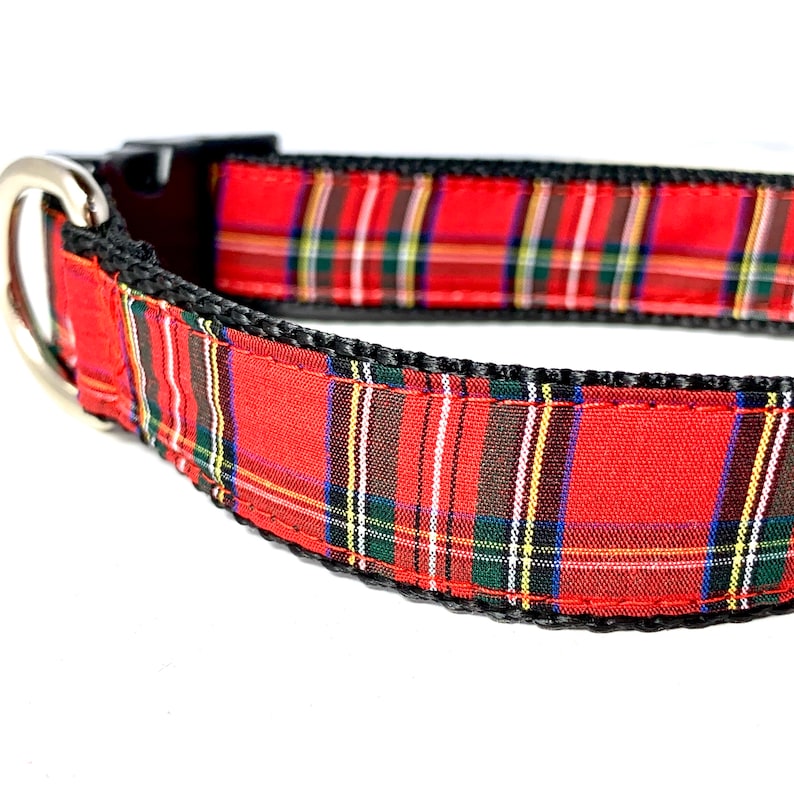 Tartan Dog Collars Scotland at Roy Bailey blog
