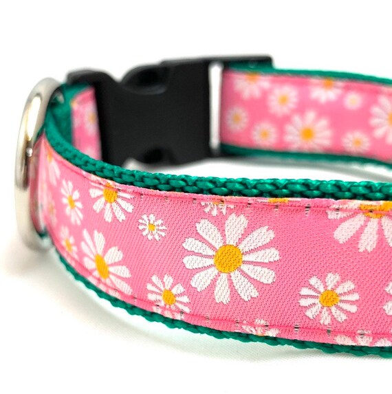 daisy dog collar