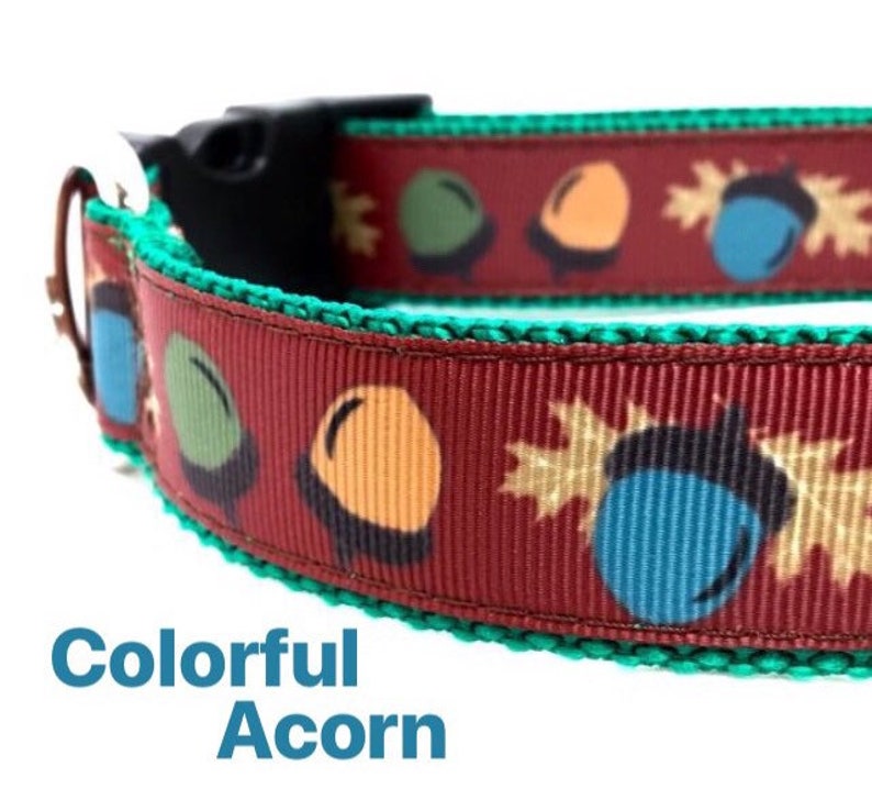 fall dog collar