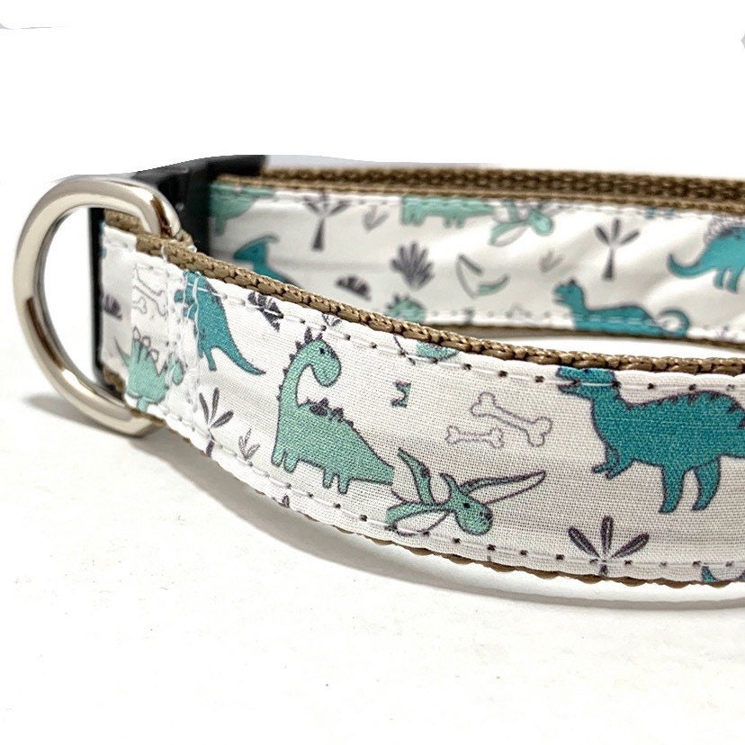 Dinosaur Dog Collar Harness or Leash with Personalized Etsy