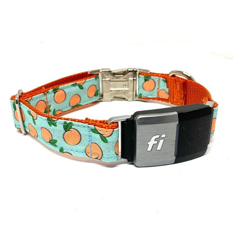 Fi Compatible Dog Collar With Personalized Engraved Buckle Etsy