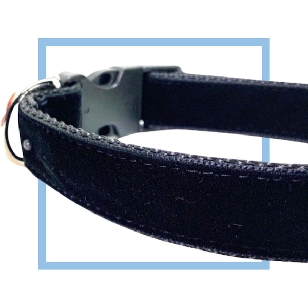 Black Velvet Dog Collar, Leash or Harness with Personalized, Engraved Metal Buckle Upgrade Option