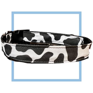 May include: A black and white cow print dog collar with a black plastic buckle.