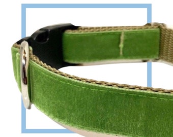 Spring Green Velvet Dog Collar, Leash or Harness with Personalized Buckle Option