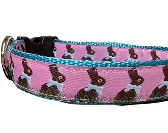 Chocolate Easter Bunny Dog Collar with Personalized Engraved Buckle Option